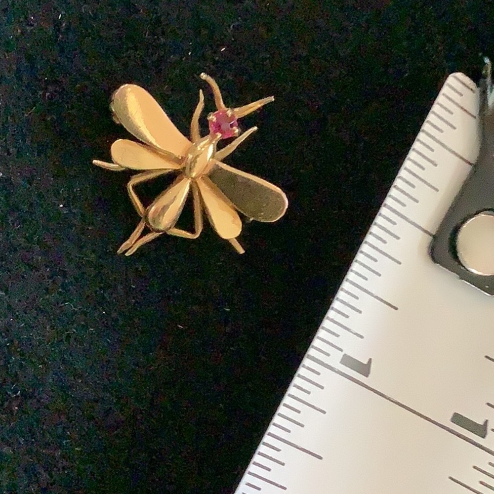 14kt With Ruby Dragonfly Pin